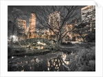 Central Park in New York City by Assaf Frank